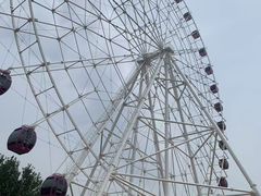 -石家庄市植物园