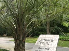-苏州河梦清园环保主题公园