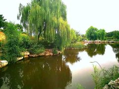 -北京西山国家森林公园