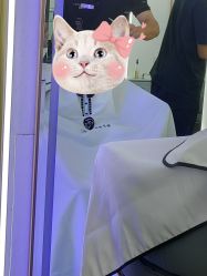 -茗梵谷造型