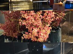 -番茄按摩·影院足道·柔足SPA