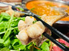 -老凯俚酸汤鱼(多彩城店)