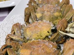 -陈记粤湛鸡饭店