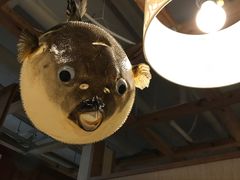 -玄品河豚(那覇國際通里之関)