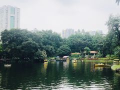 -晓港公园