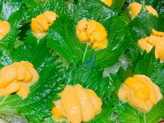 -初花·日本料理