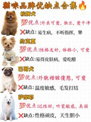 -神奇动物撸宠馆·羊驼·小浣熊·异宠(豫园店)