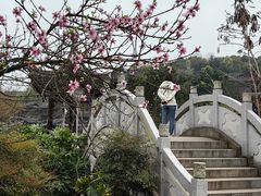 -重庆园博园