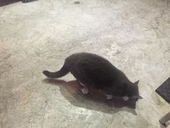 -MIKAKU(万达广场上海宝山店)