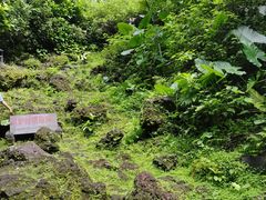 -海口火山口国家地质公园