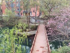 -之江大学-旧址