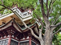 -顺峰山公园