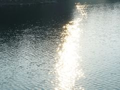 -千岛湖东南湖区
