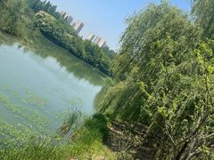 -昆山城市生态森林公园