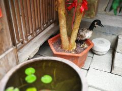 -文儒九号·闽菜馆(三坊七巷店)