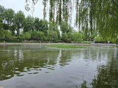 -中国农业博物馆