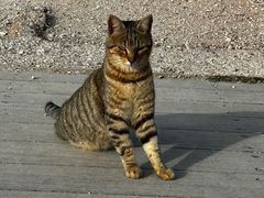 -赫淮斯托斯神庙