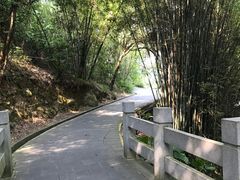 -羚羊峡古栈道森林公园