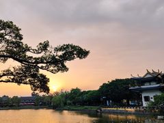 -江心屿景区