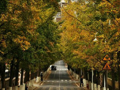 android_upload_pic-八大关景区