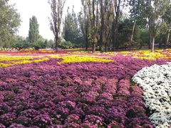 -北京植物园-展览温室