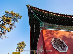 -天津大悲禅院