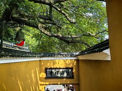 -普陀山慧济禅寺