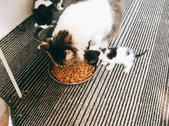 -五月木作·DIY木作文创体验店(北京路店)