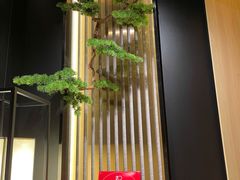 -鮨龍