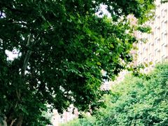 -糯米香(长江路店)