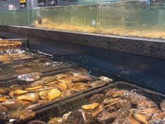 -龙宴海鲜城(经中路店)