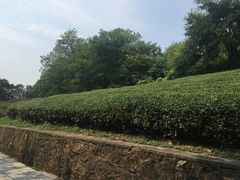 -敬亭山风景名胜区