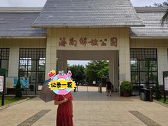 -临高角