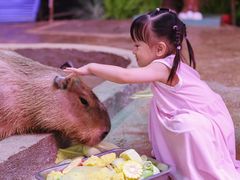 -正佳雨林生态植物园
