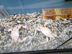 -烟台自然博物馆