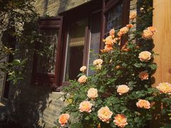 -回龙窝历史文化街区