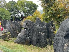 -玉石林风景区