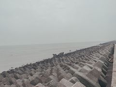 -碧海金沙