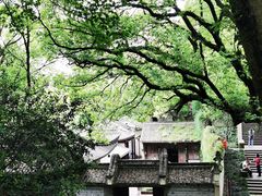 -宁波市保国寺古建筑博物馆