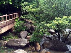 -银瓶嘴森林公园
