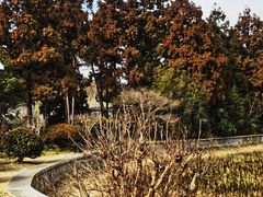 -东平国家森林公园