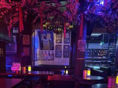 -周庄红庭演艺酒吧