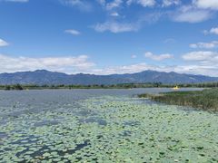 -野鸭湖国家湿地公园