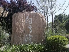 -白鹭湾湿地公园