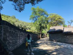 -晋祠公园