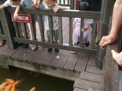 -枫香湖儿童公园