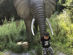 -武陵山森林公园