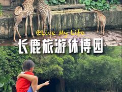 -长鹿旅游休博园