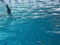 -西安华夏文旅水世界