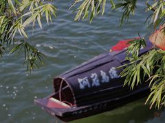 -鲁镇